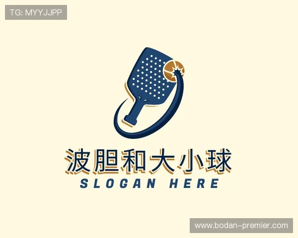 了解波胆app官网